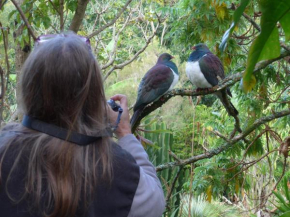 Wharepuke Subtropical Accommodation Kerikeri